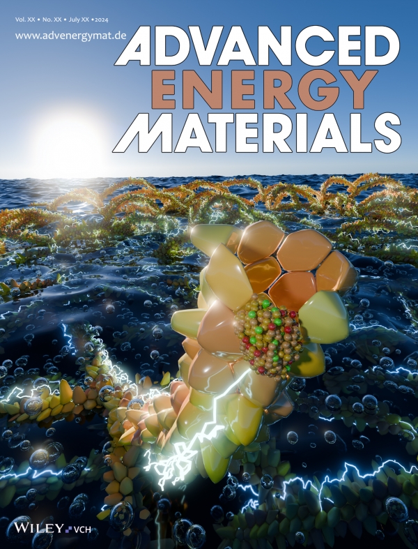 Advanced Energy Materials (Back Cover) 표지